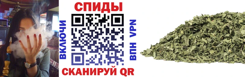 купить   Сегежа  БУТИРАТ BDO 33% 